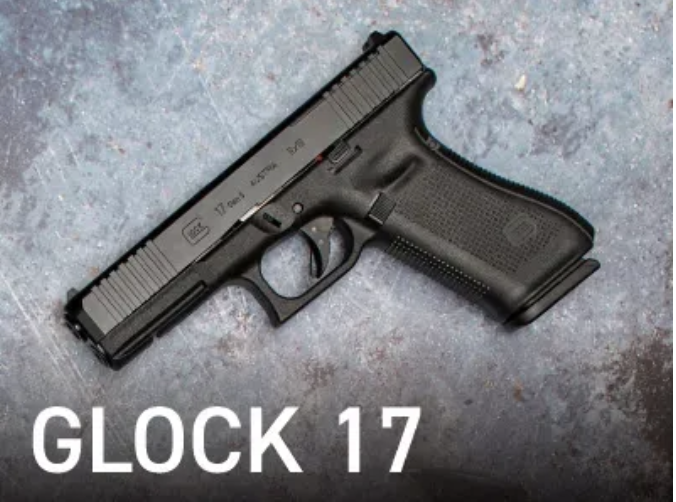 Glock 17 Blue Label model