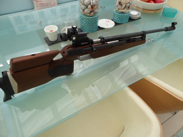 DIANA 100 Match Air Rifle Air Rifle a Dream