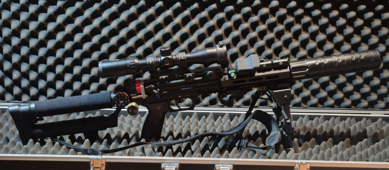 Edgun Leshiy 2 all black 5.5 mm in AR15 Style