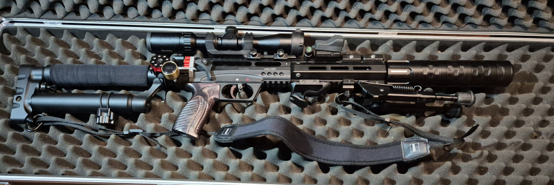 Edgun Leshiy 2 all black 5.5 mm in AR15 Style