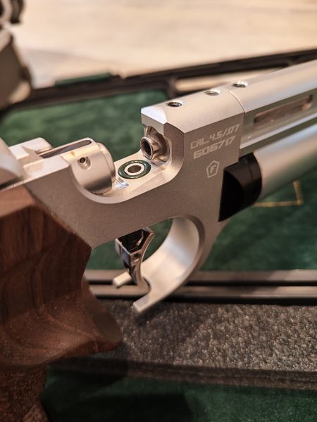 Steyr EVO 10 E (silver)
