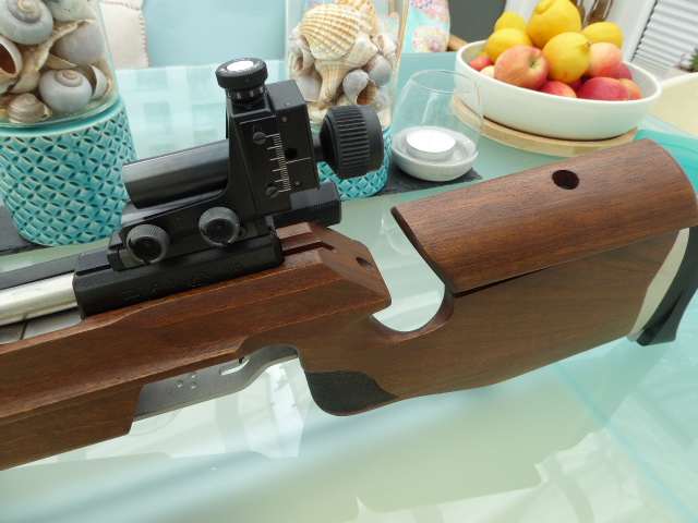 DIANA 100 Match Air Rifle Air Rifle a Dream