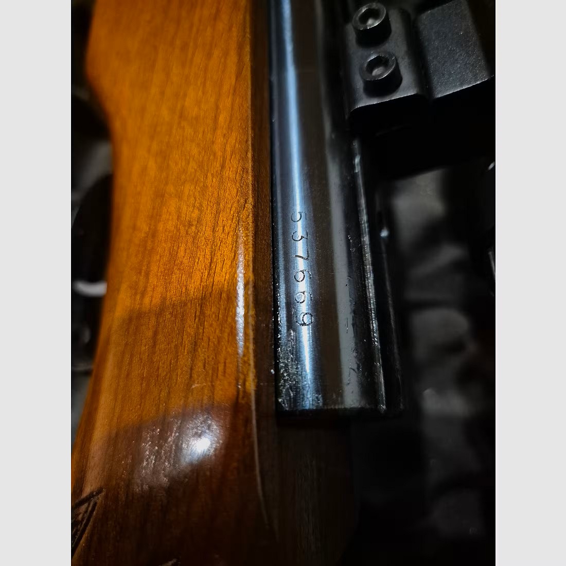 HW 55 with glass