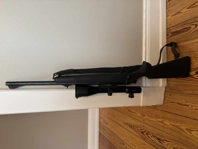 Blaser R93 Professional