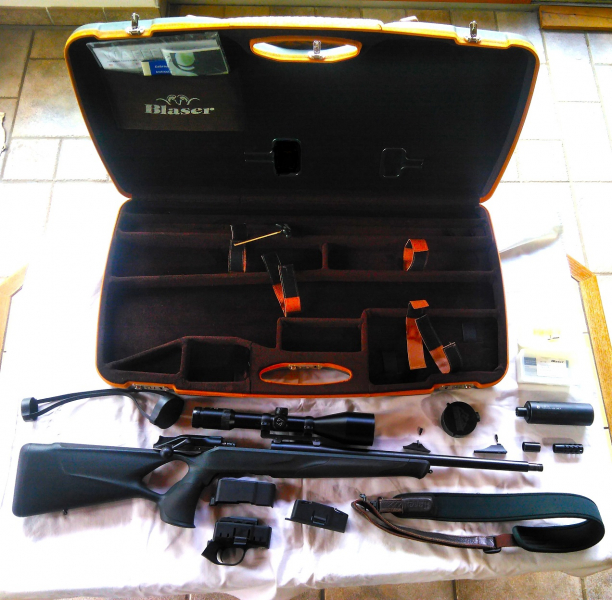 Blaser R8 Success